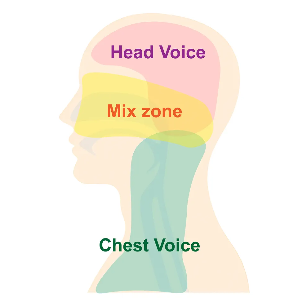 ミックスボイスの仕組み：チェスト・ミックス・ヘッド各ボイスの共鳴位置を示す頭部断面図