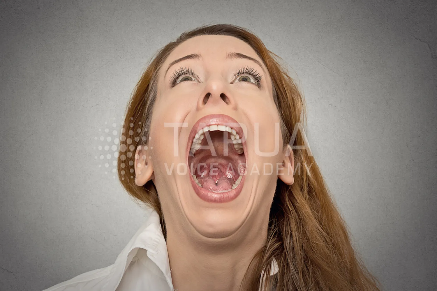 英語の歌を上手に歌う練習法：ノドを開く（オープンスロート）ことで咽頭の共鳴空間を最大限に広げ、英語特有の響きを作るための発声イメージ画像